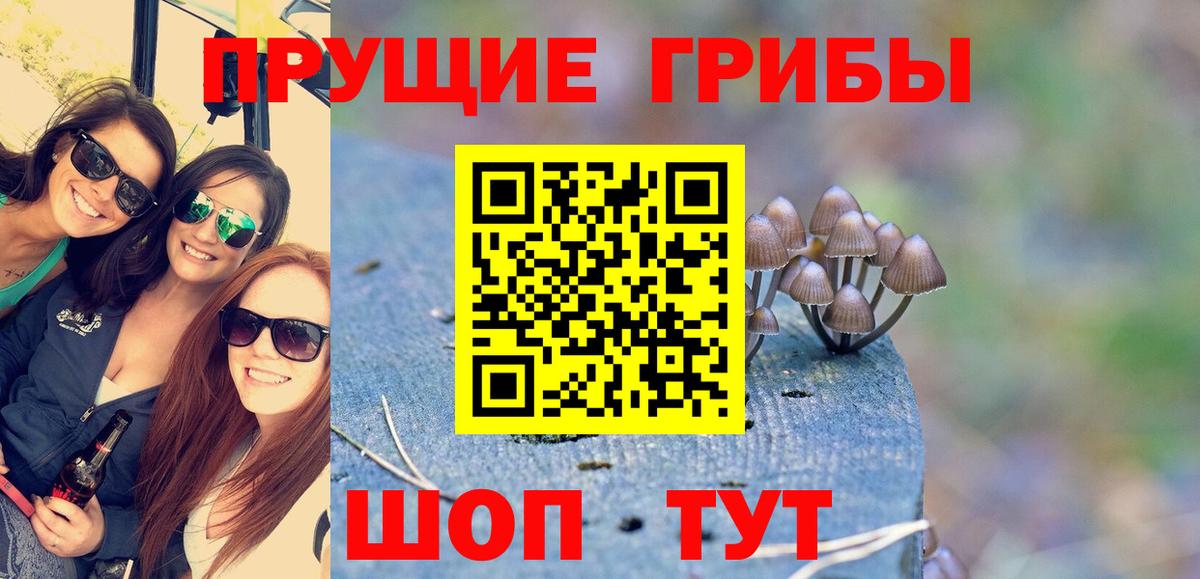 Псилоцибиновые грибы ЛСД  Вход с VPN  Таганрог 